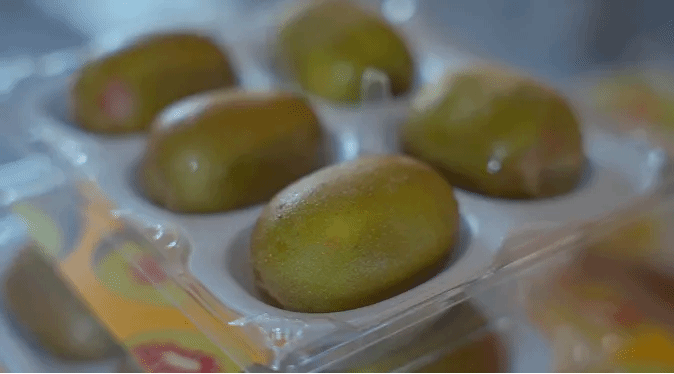 bte·365(中国)唯一官方网站