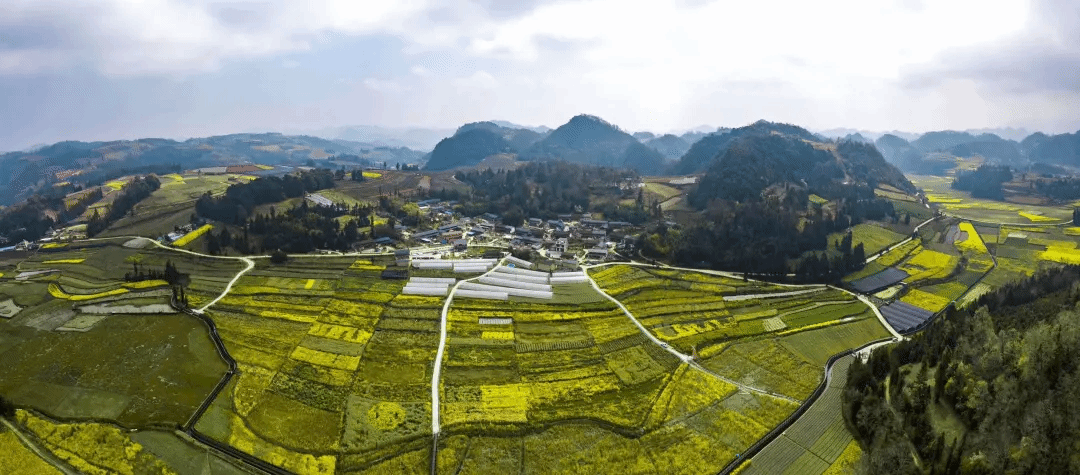 bte·365(中国)唯一官方网站