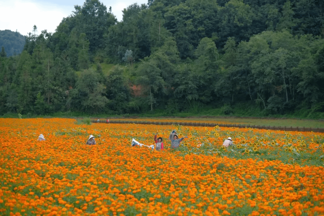 bte·365(中国)唯一官方网站