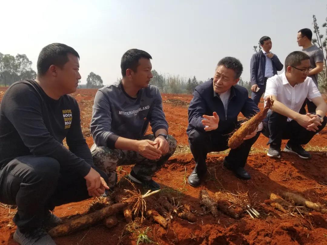 bte·365(中国)唯一官方网站